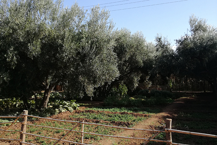 La ferme berbère – Marrakech