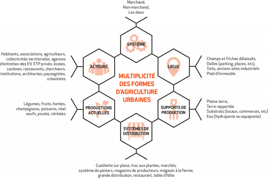 schema_villecomestible1