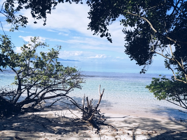 Bons baisers de Guadeloupe