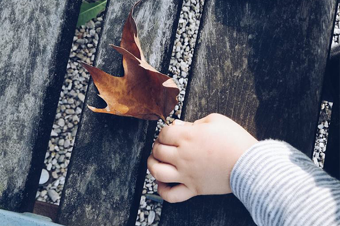 La visite d’une école alternative