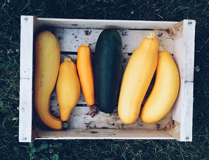 L’été au potager