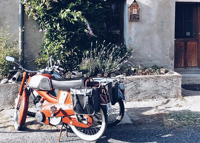 Chronique d’été… bretonne